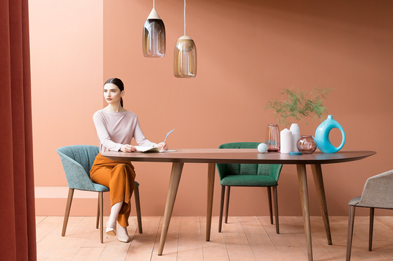 China Adaptable partido del tweed de la sala de estar de la tabla de madera simple de los sistemas en comedor proveedor